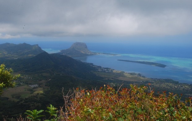 Mauritius: Trekking Black River Gorges Peak